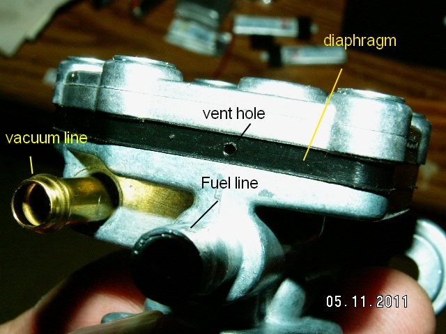 File:829814-2.jpg