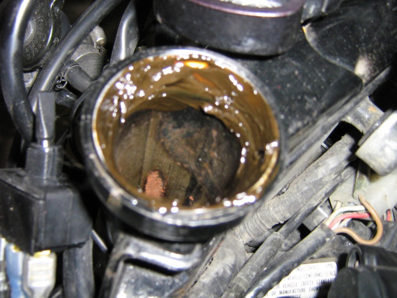 File:IMG 5703.jpg