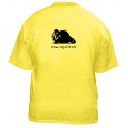 Yellow shirt back.jpg