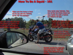 Squid 101.jpg